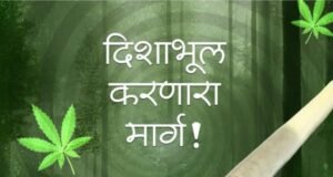 या नशेमुळे तुमच्या आयुष्याला ‘हाय’ लागू शकते!