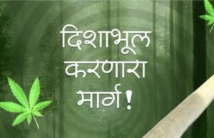 या नशेमुळे तुमच्या आयुष्याला ‘हाय’ लागू शकते!