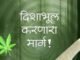 या नशेमुळे तुमच्या आयुष्याला ‘हाय’ लागू शकते!