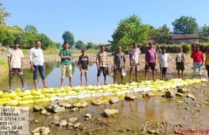 नंदुरबार जिल्ह्यात वनराई बंधाऱ्यांचे महत्त्व आणि फायदे