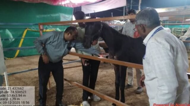 Extensive veterinary arrangements by the Animal Husbandry Department for the horse market during the Sarangkheda Datta Jayanti Yatra