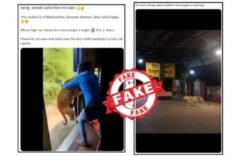 महाराष्ट्रातील रेल्वे स्थानकांवर बिबटे फिरत असल्याचे आणि रेल्वे गाड्यांवर हल्ला करत असल्याचे दावे करणारे व्हायरल फोटो आणि व्हिडिओ खोटे आहेत.