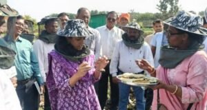 मधुमक्षिका पालनातून शाश्वत शेती व उत्पन्नवाढीस चालना जिल्हाधिकारी डॉ. मित्ताली सेठी यांची मधुमक्षिका पालन प्रात्यक्षिक युनिटला भेट