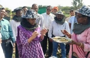 मधुमक्षिका पालनातून शाश्वत शेती व उत्पन्नवाढीस चालना जिल्हाधिकारी डॉ. मित्ताली सेठी यांची मधुमक्षिका पालन प्रात्यक्षिक युनिटला भेट