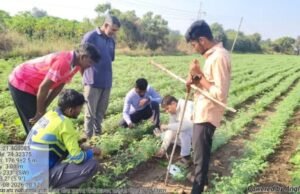 CROPSAP अंतर्गत हरभरा पिकासाठी शेतीशाळेचा तिसरा वर्ग संपन्न