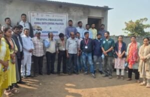 भटक्या श्वान प्रजनन नियंत्रणासाठी एकदिवसीय कार्यशाळा संपन्न