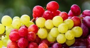 सांगलीत द्राक्ष उत्पादक आणि बेदाणा उत्पादक शेतकरी यांचा विविध मागण्यांसाठी मोर्चा