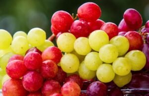 सांगलीत द्राक्ष उत्पादक आणि बेदाणा उत्पादक शेतकरी यांचा विविध मागण्यांसाठी मोर्चा