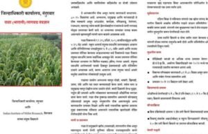 राळा (भादली) – कमी पाण्यात, जास्त पोषण!