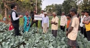 सातपुड्यात उगवली ब्रोकली; शेतकऱ्यांच्या उत्पन्नाला नवी दिशा सातपुड्यात भाजीपाला क्रांतीची नांदी