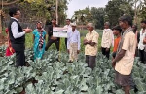 सातपुड्यात उगवली ब्रोकली; शेतकऱ्यांच्या उत्पन्नाला नवी दिशा सातपुड्यात भाजीपाला क्रांतीची नांदी