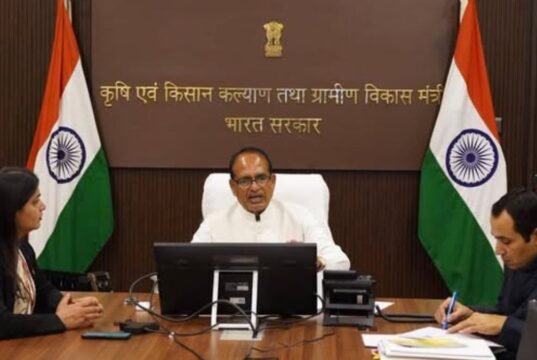 महाराष्ट्रातील तूर उत्पादक शेतकऱ्यांसाठी मोठा दिलासा