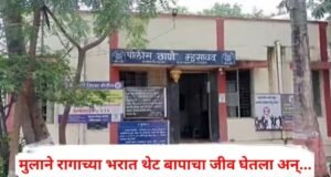 वडील आईला करायचे मारहाण, मुलाने रागाच्या भरात थेट बापाचा जीव घेतला अन् नंतर…; नंदुरबारमध्ये खळबळ