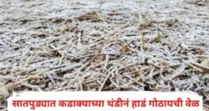 सातपुड्यात कडाक्याच्या थंडीनं हाडं गोठायची वेळ; भाताच्या पेंढ्यावर जमली बर्फाची चादर