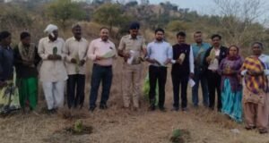 चारा टंचाईवर मात करण्यासाठी मासोद येथे काटेविरहित ‘कॅक्टस’ लागवडीचा अभिनव उपक्रम