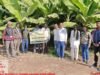 हॉर्टसॅप अंतर्गत केळी पिकावरील सिगाटोका रोगाबाबत गावस्तरीय शेतकरी प्रशिक्षण संपन्न