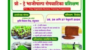 3 दिवसीय प्रो-ट्रे भाजीपाला रोपवाटिका प्रशिक्षण कार्यक्रम