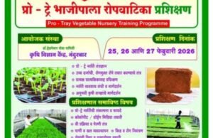 3 दिवसीय प्रो-ट्रे भाजीपाला रोपवाटिका प्रशिक्षण कार्यक्रम