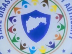 आखाती देशातील युद्धसदृश परिस्थितीमुळे मागील काही दिवस प्रभावित झालेली विमान सेवा व विमान उड्डाणे सुरू झाली आहेत.