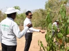 विभागीय आयुक्तांकडून जनसहयोग संस्थेतील वृक्षांची पाहणी