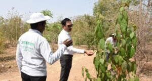 विभागीय आयुक्तांकडून जनसहयोग संस्थेतील वृक्षांची पाहणी