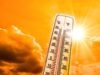 राज्यात पुढील काही दिवसांत उष्णतेची तीव्रता वाढण्याचा इशारा भारतीय हवामान खात्याकडून देण्यात आला