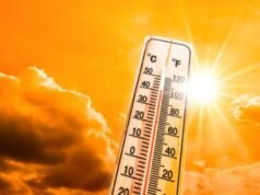 राज्यात पुढील काही दिवसांत उष्णतेची तीव्रता वाढण्याचा इशारा भारतीय हवामान खात्याकडून देण्यात आला