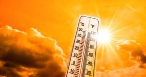 राज्यात पुढील काही दिवसांत उष्णतेची तीव्रता वाढण्याचा इशारा भारतीय हवामान खात्याकडून देण्यात आला