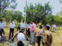 जिल्हाधिकाऱ्यांकडून संत्रा बागेतील आधुनिक एआय तंत्रज्ञानाची पाहणी