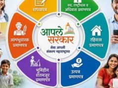 महसूल विभागाच्या सेवांना आता अधिक गती!