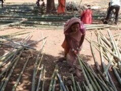 लेगापाणी येथे बांबू विक्रीचा दुसरा यशस्वी प्रयोग; महिलांच्या पुढाकारातून रोजगार निर्मितीला चालना
