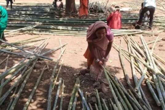 लेगापाणी येथे बांबू विक्रीचा दुसरा यशस्वी प्रयोग; महिलांच्या पुढाकारातून रोजगार निर्मितीला चालना