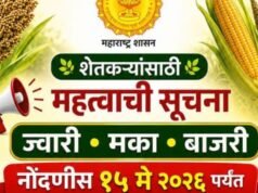 रब्बी पणन हंगामासाठी ज्वारी-मका-बाजरी नोंदणीस 15 मेपर्यंत मुदतवाढ