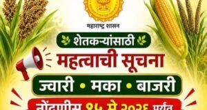 रब्बी पणन हंगामासाठी ज्वारी-मका-बाजरी नोंदणीस 15 मेपर्यंत मुदतवाढ