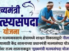 ‘मुख्यमंत्री मत्स्यसंपदा योजना’