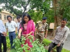महाराष्ट्र सदन येथे जागतिक पर्यावरण दिनानिमित्त वृक्षारोपण
