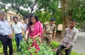 महाराष्ट्र सदन येथे जागतिक पर्यावरण दिनानिमित्त वृक्षारोपण