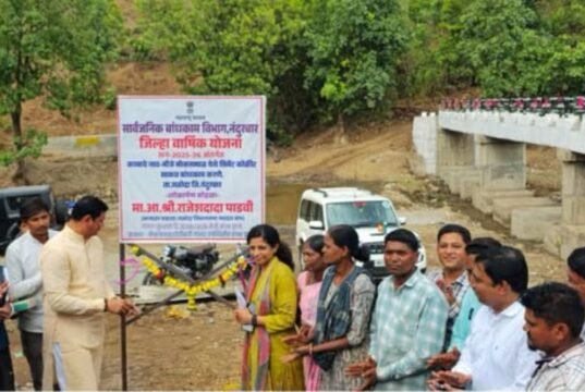 दुर्गम पाड्यांना जोडणारे विकासाचे मजबूत पूल!