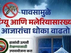 पावसामुळे डेंग्यू आणि मलेरियासारख्या आजारांचा धोका वाढतो