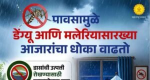 पावसामुळे डेंग्यू आणि मलेरियासारख्या आजारांचा धोका वाढतो