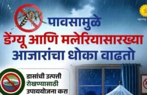 पावसामुळे डेंग्यू आणि मलेरियासारख्या आजारांचा धोका वाढतो