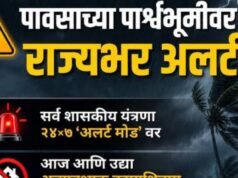पावसाच्या पार्श्वभूमीवर राज्यभर अलर्ट!