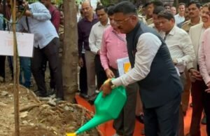 एसटीच्या ७८ व्या वर्धापन दिनानिमित्त राज्यव्यापी वृक्षारोपण अभियानाचा शुभारंभ