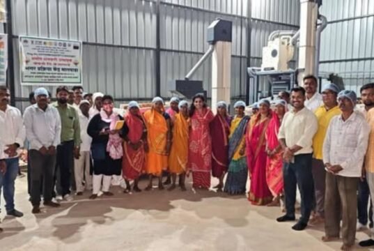 अक्कलकुवा तालुक्यातील मिलेट प्रक्रिया युनिटला मा. जिल्हाधिकारी डॉ. मित्ताली सेठी यांची भेट