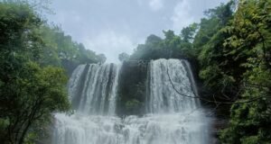 सवतकडयावर येणाऱ्या पर्यटकांचे मौजे चुनाकोळवण अंबिकेश्वर प्रतिष्ठानतर्फे स्वागत आणि काळजी घेण्याचे केले आवाहन