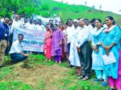लोकसहभागातून चारा व वृक्षलागवडीचा अभिनव प्रयोग; सातपुड्यात शाश्वत विकासाला नवी दिशा Nandurbar News1