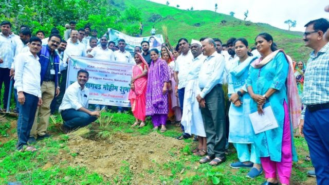 Nandurbar News1 Nandurbar News1