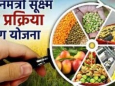 ‘प्रधानमंत्री सूक्ष्म अन्न प्रक्रिया उद्योग’ योजनेंतर्गत, जिल्ह्यासाठी ‘जिल्हा संसाधन व्यक्ती’ पदासाठी अर्ज करण्याचे आवाहन