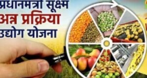 ‘प्रधानमंत्री सूक्ष्म अन्न प्रक्रिया उद्योग’ योजनेंतर्गत, जिल्ह्यासाठी ‘जिल्हा संसाधन व्यक्ती’ पदासाठी अर्ज करण्याचे आवाहन