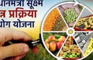 ‘प्रधानमंत्री सूक्ष्म अन्न प्रक्रिया उद्योग’ योजनेंतर्गत, जिल्ह्यासाठी ‘जिल्हा संसाधन व्यक्ती’ पदासाठी अर्ज करण्याचे आवाहन
